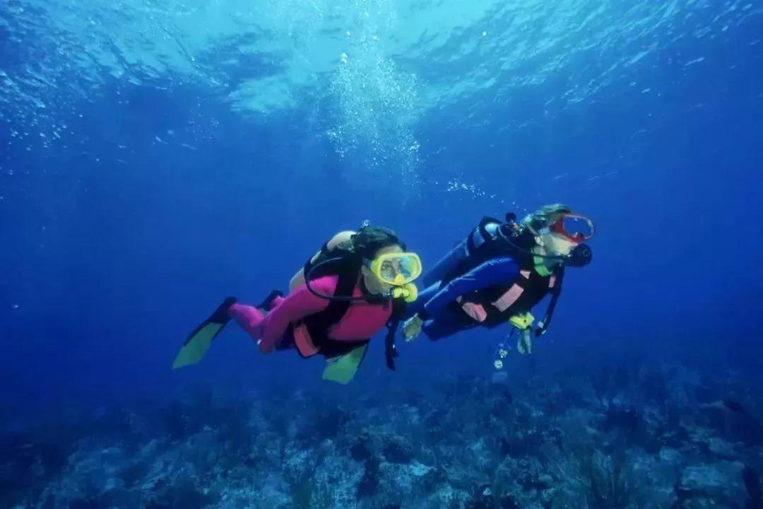 逃出白海豹洞